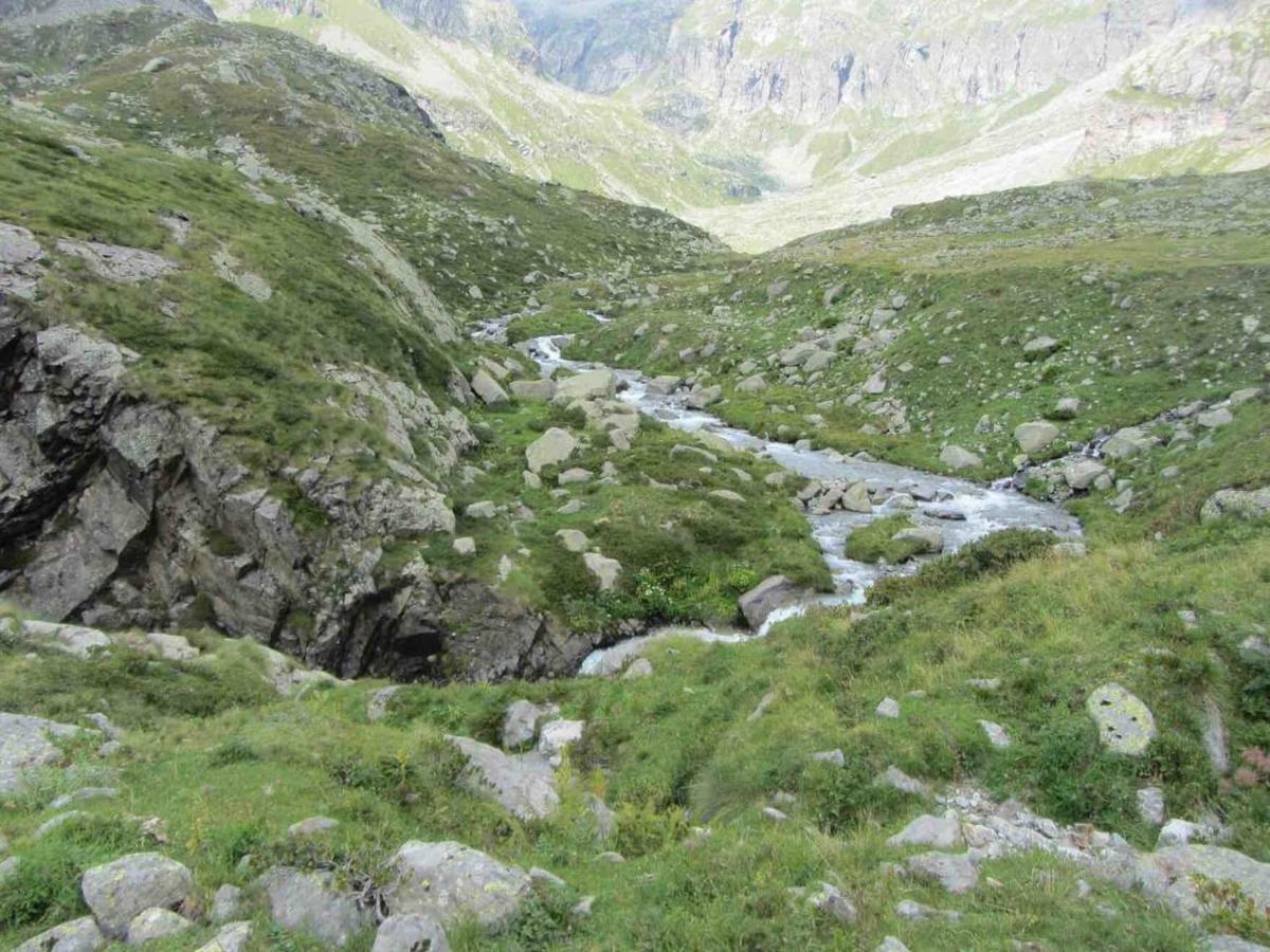 Bilocale A Due Passi Dal Gran Paradiso Locana Luaran gambar